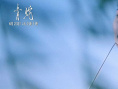 《青蛇》剧照