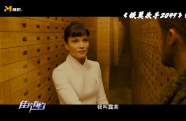 西爾維婭·侯克斯主演的電影