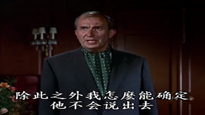 擒凶记：谍影重重：外交风波背后的谜影