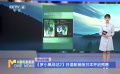 《罗小黑战记2》日语配音版日本开启预售