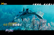 電影中的傳奇騎士