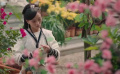 霓裳記：東宮太子妃身邊的神秘藥材風波！