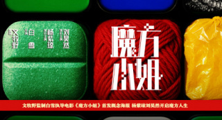 杨紫琼刘昊然开启崭新人生！《魔方小姐》曝海报