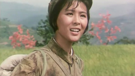 挺進(jìn)中原：劉鄧大軍長驅(qū)南進(jìn) 勝利到達(dá)大別山