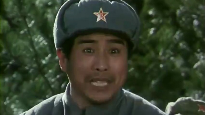 挺进中原：大别山战斗风云：革命力量的坚守与反击