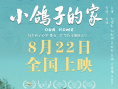 《小鸽子的家》