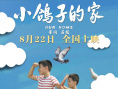 《小鸽子的家》