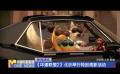 《壞蛋聯(lián)盟2》北京舉行特別觀影活動
