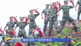《中国电影报道》第224期（20250812）