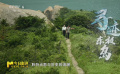 暑期档光影行 | 寻迹东极岛：听渔民后代讲讲那段曾经“沉没”的故事