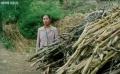當(dāng)家的是山：苦命妻子守丈夫，似王寶釧熬歲月！