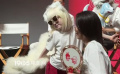 “小爱莎”cos小九月 可爱神还原萌化配音演员