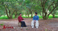 暑期檔光影行 | 直抵嶺南荔枝林：嘗一顆“李善德同款”，品出怎樣的人生滋味？
