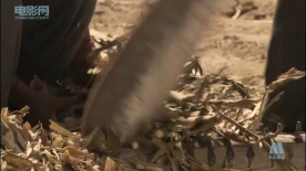 西凉外的风车：母亲的牵挂与心疼，家是永远的依靠