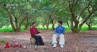 暑期檔光影行 | 直抵嶺南荔枝林：嘗一顆“李善德同款”，品出怎樣的人生滋味？