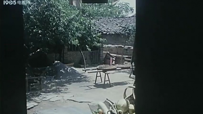 乡思：梁姑姐趣味日常对话合集