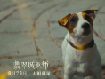 《翡翠城巫師》海報