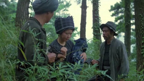 湘西剿匪记（下）：突袭黑龙洞，惊险解密与生死对决