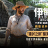 《伊甸》发布演员特辑 三组人马在残酷荒岛求生