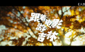 用鏡頭定格這片黑土地的滄桑與浪漫 那些在吉林取景的電影