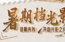 暑期檔光影行：在光影穿行中觸摸歷史的印跡