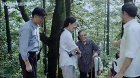 邓小平登黄山：邓小平黄山之行，登山邂逅别样风景