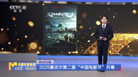 2025塞舌尔第二届“中国电影节”开幕