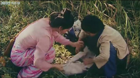 枪，从背后打来：怒！蝎子团伙捕杀野生动植物走私