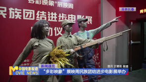 “多彩映象”展映周民族团结进步电...