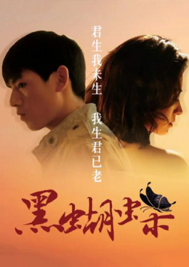 黑蝴蝶