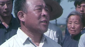 布谷催春：书记带头助农，带农民富足新农村！