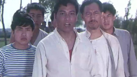 布谷催春：水产专业户与告状者的激烈较量！