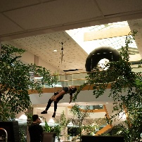 《瞬息全宇宙》档案影像