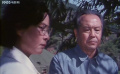 远离人群的地方:化石树之争竟牵出惊人内幕 远离人群的地方:化石树之争竟牵出惊人内幕