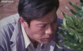 远离人群的地方:人工群落背后秘闻,竟牵出惊人真相 远离人群的地方:人工群落背后秘闻,竟牵出惊人真相
