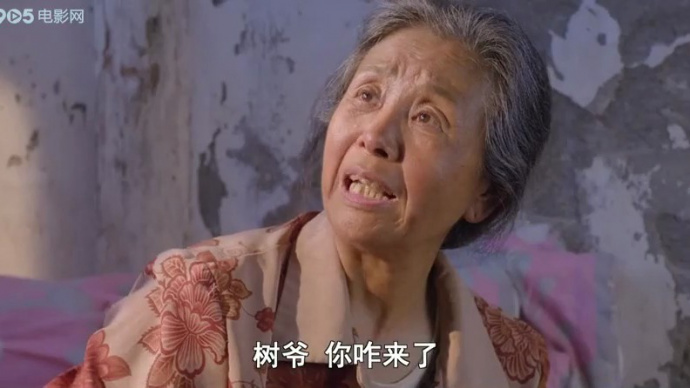 保卫养老院：树爷劝婆婆去养老院，婆婆犹豫！