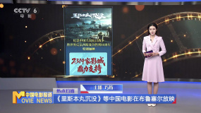 《里斯本丸沉没》等中国电影在布鲁塞尔放映