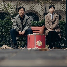 向光花盛開(kāi)