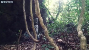山頂上的鐘聲：八路軍堅守陣地，排長力戰(zhàn)嚇退鬼子！