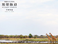 《地球脉动：万物有道》剧照