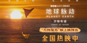 《地球脉动:万物有道》曝预告 与万物同行回归本真