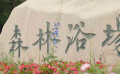 张晓龙、赵奕欢舞动魅力净月潭 在森林浴场放飞自我