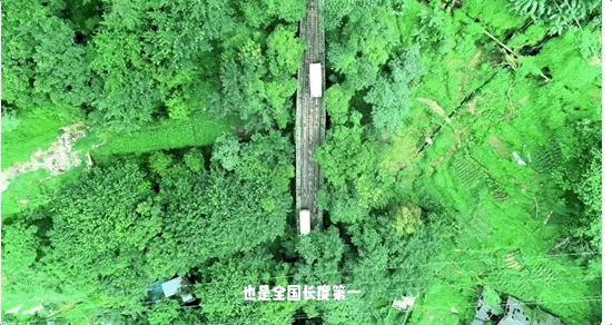 跟着电影去旅游！2025年国庆档最大的流量在这里