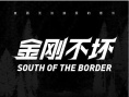《金刚不坏》海报