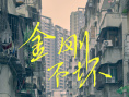 《金刚不坏》海报