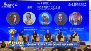 “中法影像对话沙龙”探讨中法电影...