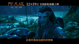 《阿凡达：火与烬》发布定档预告 12月19日全国上映！