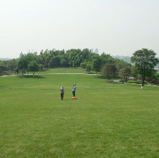 胡阿姨的花園