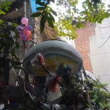胡阿姨的花園