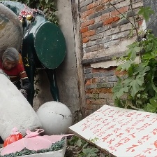 胡阿姨的花園